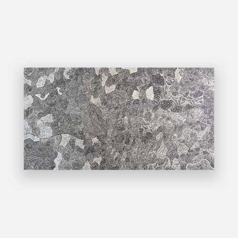 Pikilyi Jukurrpa (Vaughan Springs Dreaming) 03