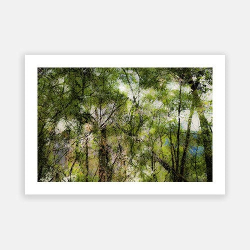 Purlingbrook Falls|E – 500 x 760|F – 660 x 1000|G – 850 x 1300|Photographic Paper|Rag Paper|Canvas|None|White|Black|Scandi