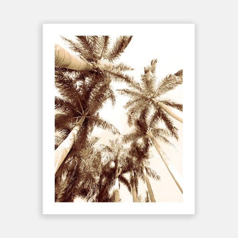 Summer Palm 01|C – 400 x 500|D – 500 x 600|E – 600 x 760|F – 760 x 1000|G – 1000 x 1300|Matt Photographic Paper|Canvas|None|White|Black|Scandi