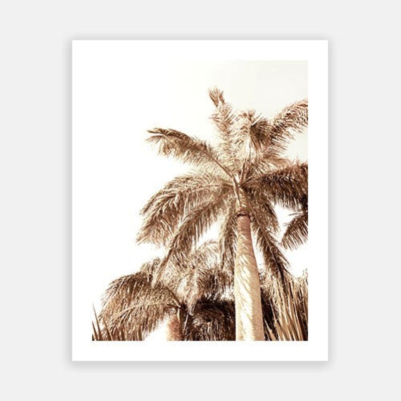 Summer Palm 02|C – 400 x 500|D – 500 x 600|E – 600 x 760|F – 760 x 1000|G – 1000 x 1300|Matt Photographic Paper|Canvas|None|White|Black|Scandi
