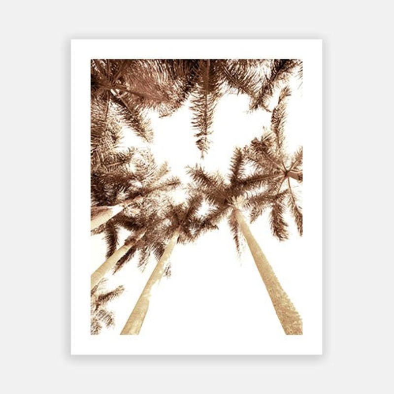 Summer Palm 03|C – 400 x 500|D – 500 x 600|E – 600 x 760|F – 760 x 1000|G – 1000 x 1300|Matt Photographic Paper|Canvas|None|White|Black|Scandi