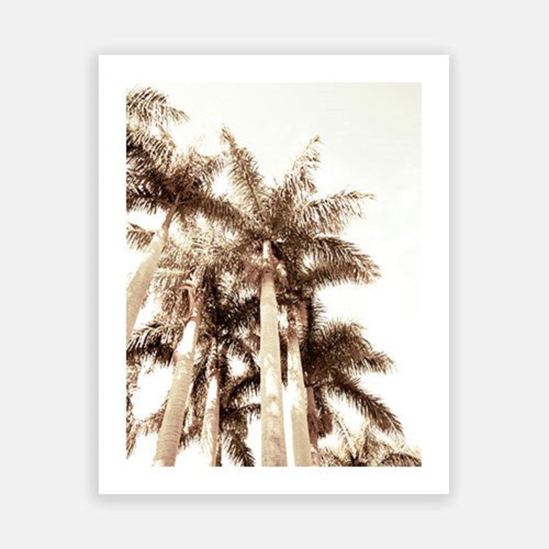 Summer Palm 04|C – 400 x 500|D – 500 x 600|E – 600 x 760|F – 760 x 1000|G – 1000 x 1300|Matt Photographic Paper|Canvas|None|White|Black|Scandi