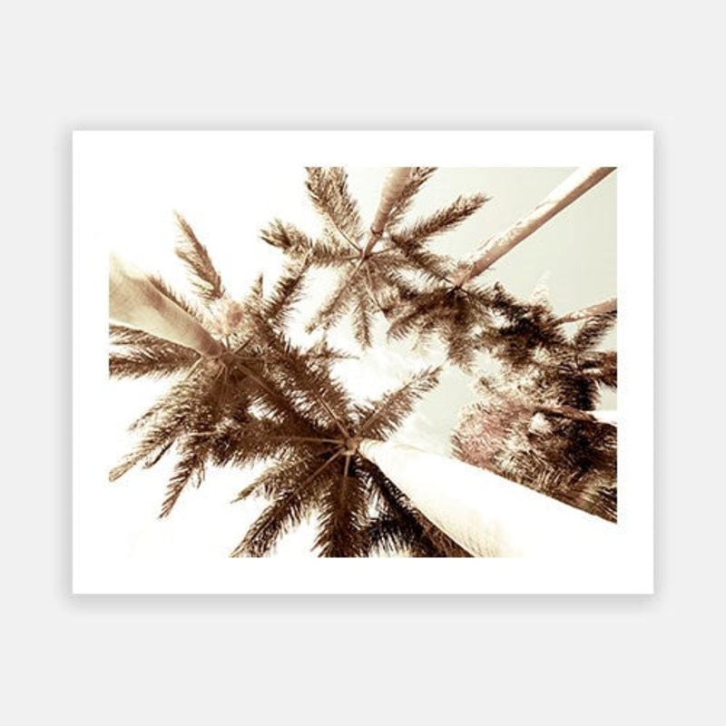 Summer Palm 06|C – 400 x 500|D – 500 x 600|E – 600 x 760|F – 760 x 1000|G – 1000 x 1300|Matt Photographic Paper|Canvas|None|White|Black|Scandi