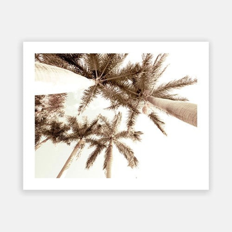 Summer Palm 07|C – 400 x 500|D – 500 x 600|E – 600 x 760|F – 760 x 1000|G – 1000 x 1300|Matt Photographic Paper|Canvas|None|White|Black|Scandi
