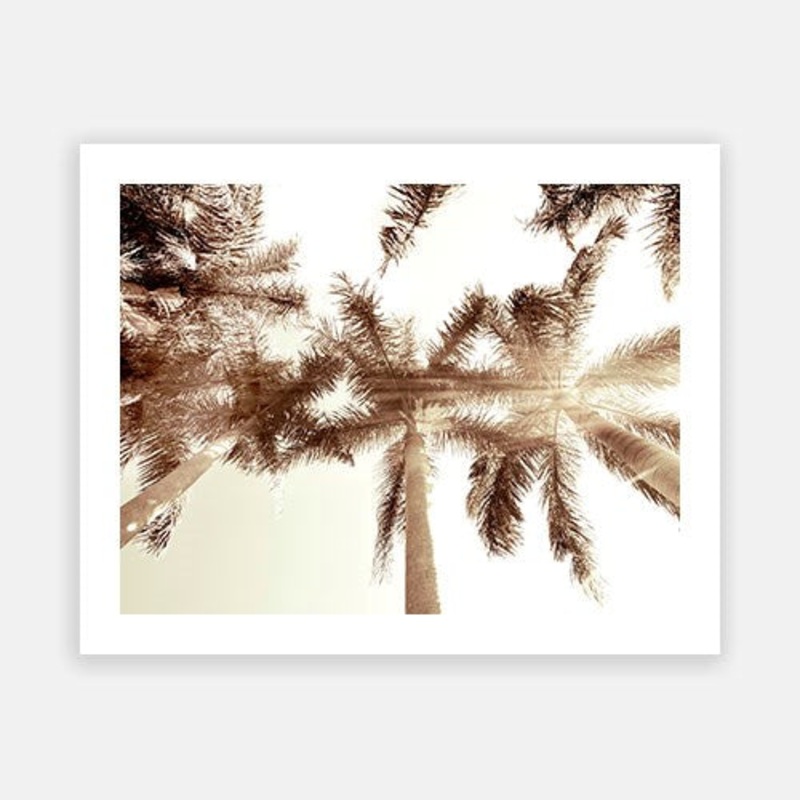 Summer Palm 08|C – 400 x 500|D – 500 x 600|E – 600 x 760|F – 760 x 1000|G – 1000 x 1300|Matt Photographic Paper|Canvas|None|White|Black|Scandi