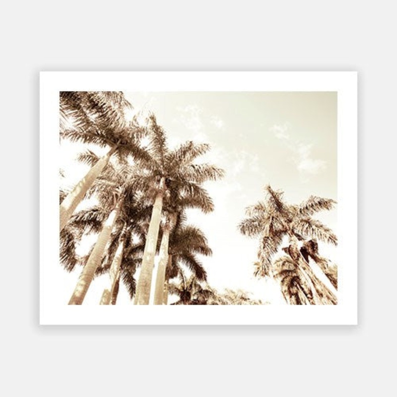 Summer Palm 09|C – 400 x 500|D – 500 x 600|E – 600 x 760|F – 760 x 1000|G – 1000 x 1300|Matt Photographic Paper|Canvas|None|White|Black|Scandi