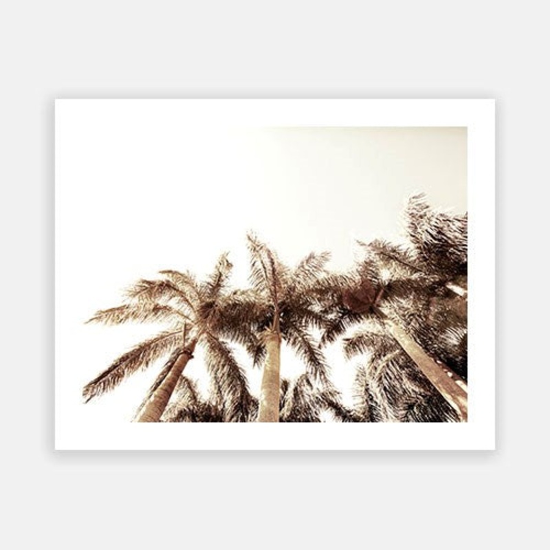 Summer Palm 10|C – 400 x 500|D – 500 x 600|E – 600 x 760|F – 760 x 1000|G – 1000 x 1300|Matt Photographic Paper|Canvas|None|White|Black|Scandi