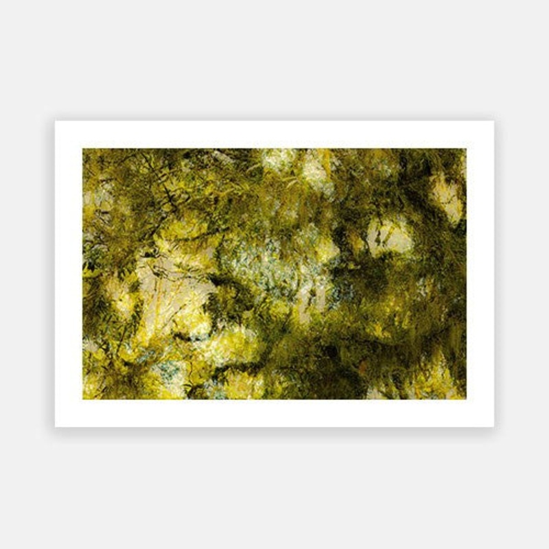 Turtons Track Otways 1|E – 500 x 760|F – 660 x 1000|G – 850 x 1300|Photographic Paper|Rag Paper|Canvas|None|White|Black|Scandi