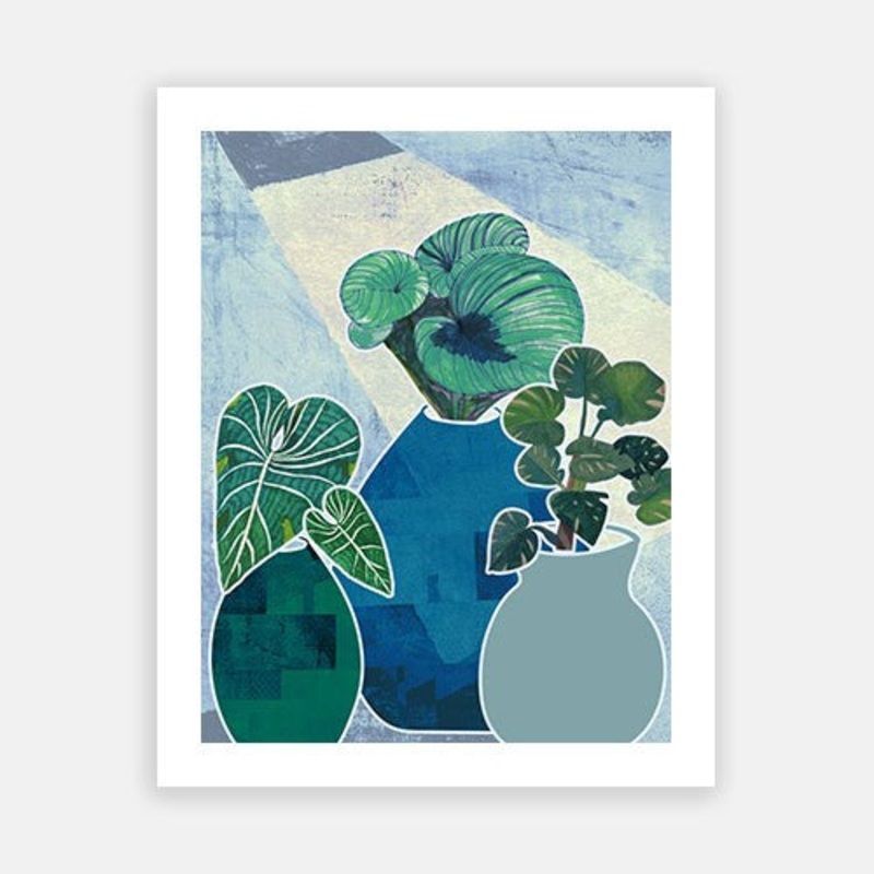 Greenhouse Lavish|C – 400 x 500|D – 500 x 600|E – 600 x 760|F – 760 x 1000|G – 1000 x 1300|Matt Photographic Paper|Canvas|None|White|Black|Scandi