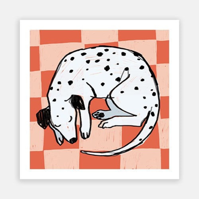 Max|C – 400 x 400|D – 500 x 500|E – 600 x 600|F – 760 x 760|G – 1000 x 1000|Matt Photographic Paper|Canvas|None|White|Black|Scandi