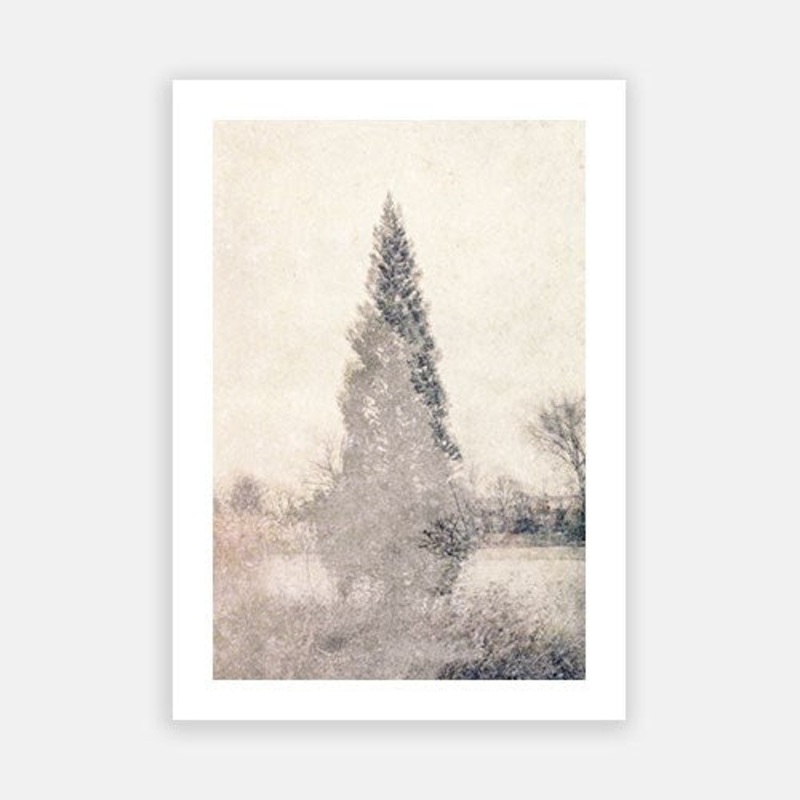Mystic Tree – Autumn|E – 500 x 760|F – 660 x 1000|G – 850 x 1300|Photographic Paper|Rag Paper|Canvas|None|White|Black|Scandi