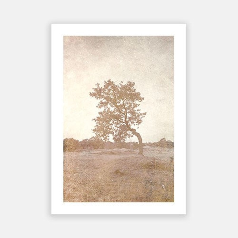 Mystic Tree – Pine|E – 500 x 760|F – 660 x 1000|G – 850 x 1300|Photographic Paper|Rag Paper|Canvas|None|White|Black|Scandi