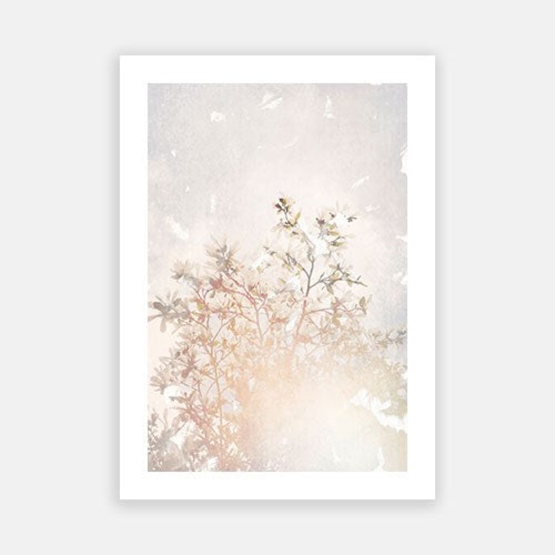 Mystic Tree – Ray|E – 500 x 760|F – 660 x 1000|G – 850 x 1300|Photographic Paper|Rag Paper|Canvas|None|White|Black|Scandi
