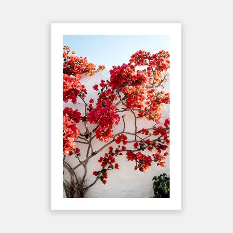 Greek Garden|E – 500 x 760|F – 660 x 1000|G – 850 x 1300|Photographic Paper|Rag Paper|Canvas|None|White|Black|Scandi