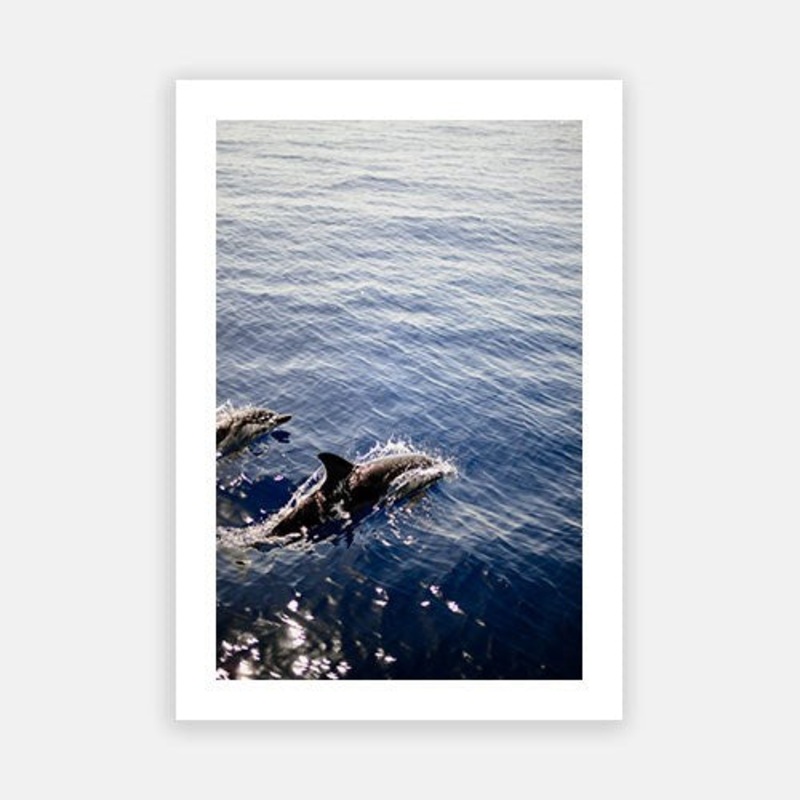 Surfing Dolphins|E – 500 x 760|F – 660 x 1000|G – 850 x 1300|Photographic Paper|Rag Paper|Canvas|None|White|Black|Scandi