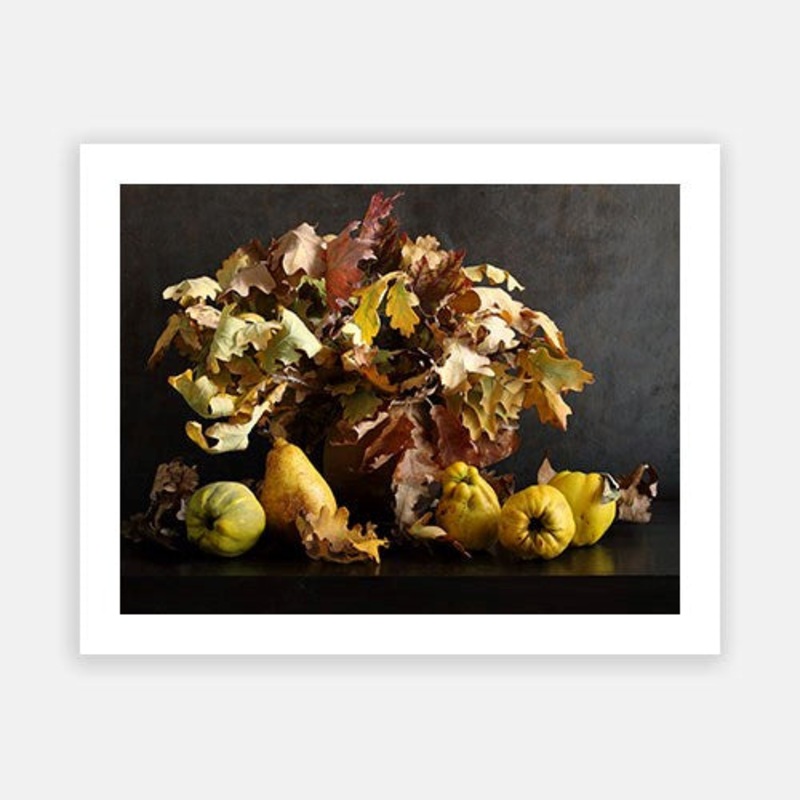 Autumn Still Life 03|C – 400 x 500|D – 500 x 600|E – 600 x 760|F – 760 x 1000|G – 1000 x 1300|Matt Photographic Paper|Canvas|None|White|Black|Scandi