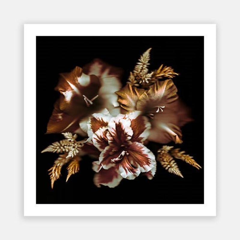 Bronze Petals 01|E – 600 x 600|F – 760 x 760|G – 1000 x 1000|H – 1300 x 1300|Photographic Paper|Rag Paper|Canvas|None|White|Black|Scandi