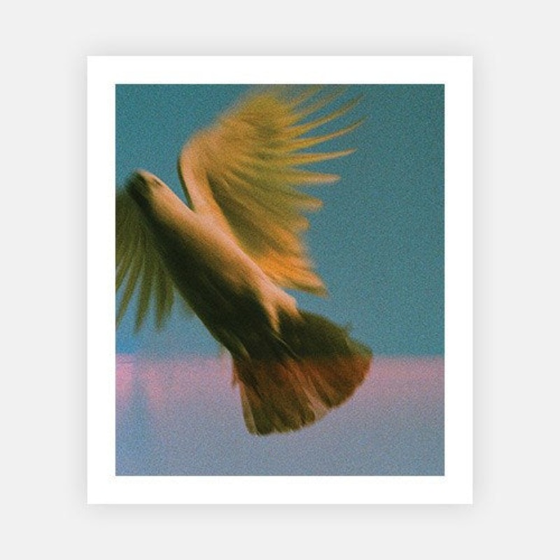 Cassa|XS – 400 x 480|S – 500 x 600|M – 750 x 900|L – 850 x 1020|XL – 1000 x 1200|Photographic Paper|Rag Paper|None|White|Black|Scandi