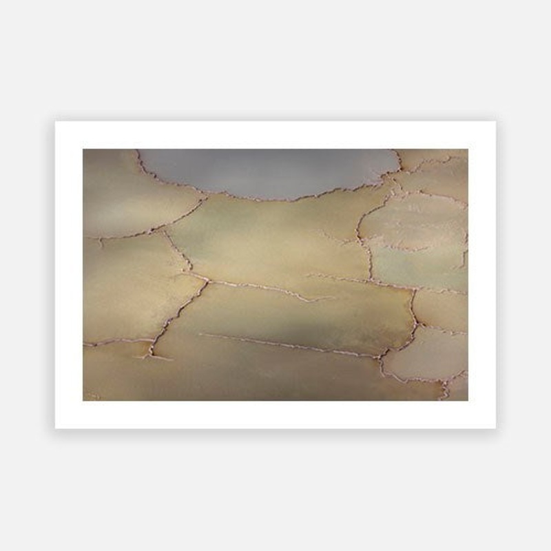 Printers Palette 06|E – 500 x 760|F – 660 x 1000|G – 850 x 1300|Photographic Paper|Rag Paper|Canvas|None|White|Black|Scandi