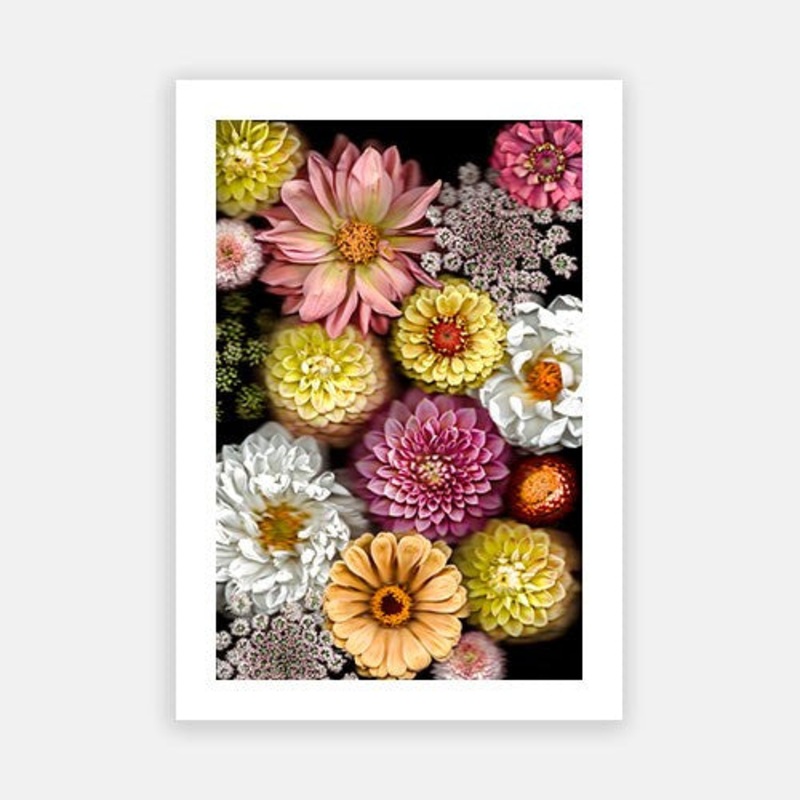 Vivid Radiance 02|E – 500 x 760|F – 660 x 1000|G – 850 x 1300|H – 1300 x 1900|Rag Paper|Photographic Paper|Canvas|None|White|Black|Scandi