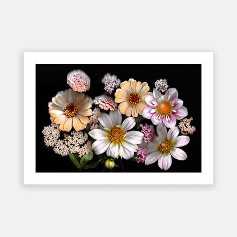 Vivid Radiance 03|E – 500 x 760|F – 660 x 1000|G – 850 x 1300|H – 1300 x 1900|Rag Paper|Photographic Paper|Canvas|None|White|Black|Scandi