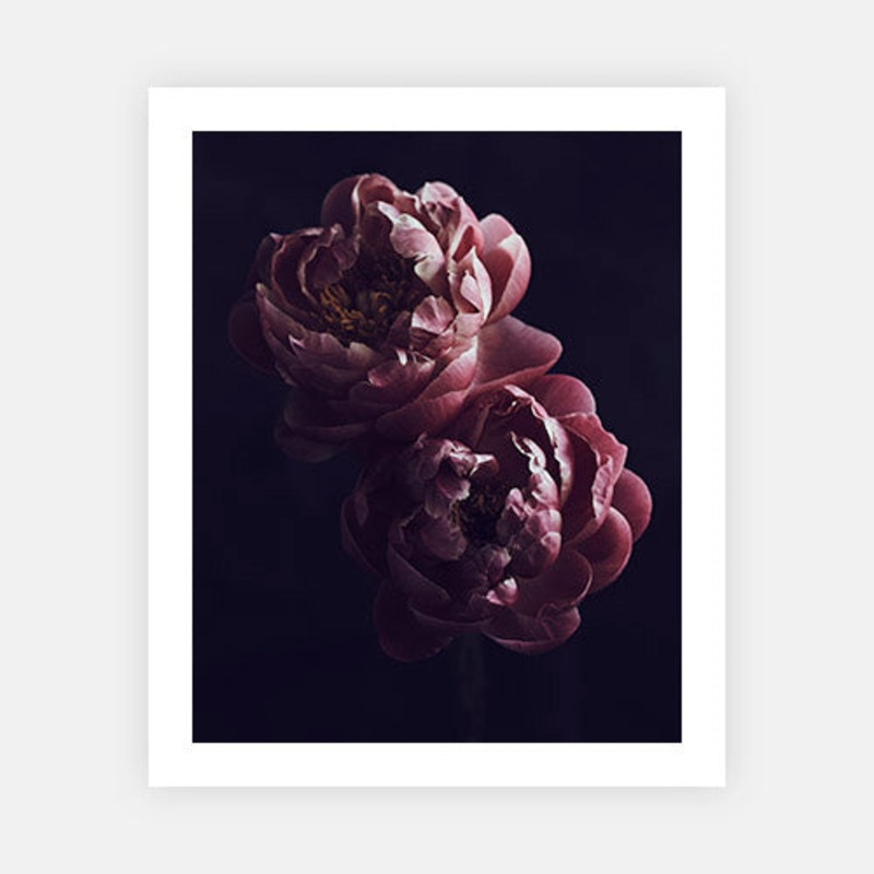 In Full Bloom|XS – 380 x 480|S – 480 x 600|M – 720 x 900|L – 810 x 1020|XL – 960 x 1200|Photographic Paper|Rag Paper|None|Black|White|Scandi
