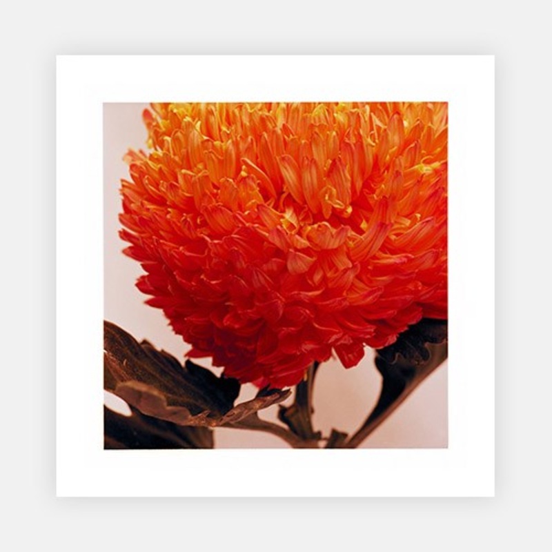 Nice things that were in the house 1