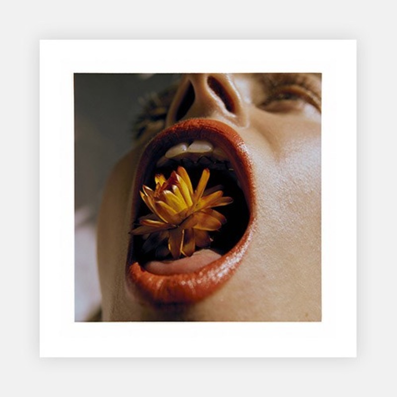 Nice things that were in the house 2