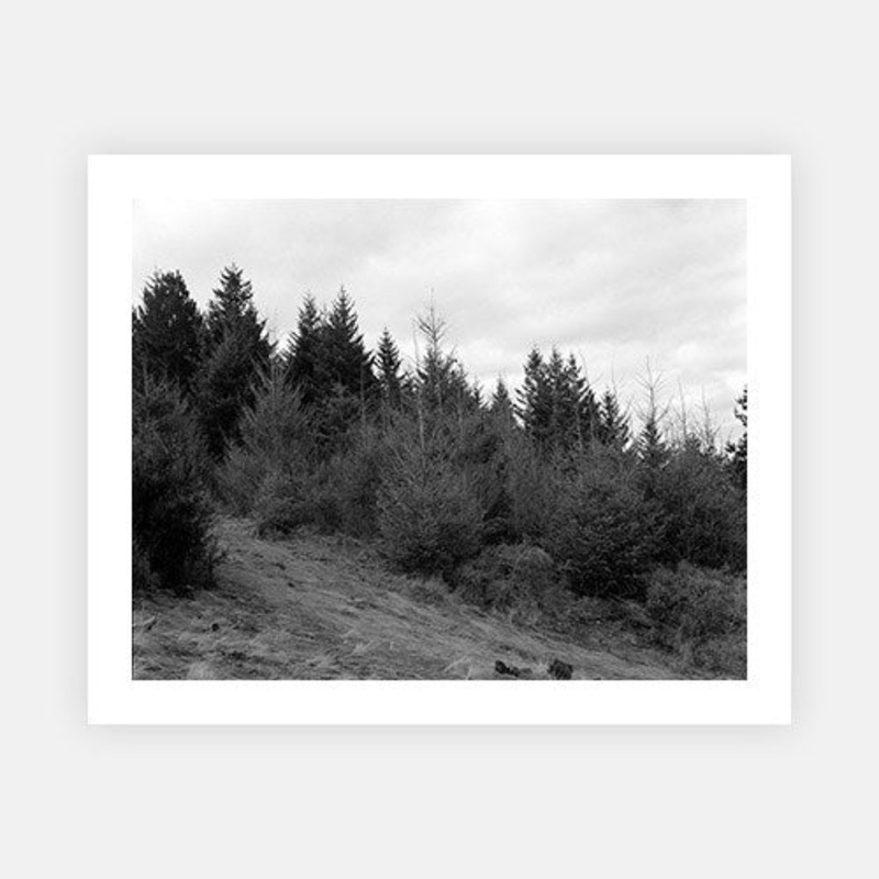 Queenstown|XS – 480 x 370|S – 600 x 470|M – 900 x 700|L – 1020 x 790|XL – 1200 x 940|Photographic Paper|Rag Paper|None|Black|White|Scandi