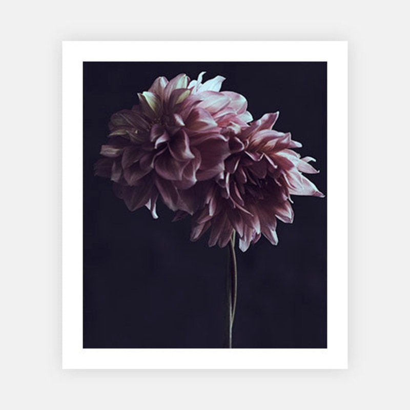 Stillness|XS – 400 x 480|S – 510 x 600|M – 760 x 900|L – 860 x 1020|XL – 1020 x 1200|Photographic Paper|Rag Paper|None|Black|White|Scandi