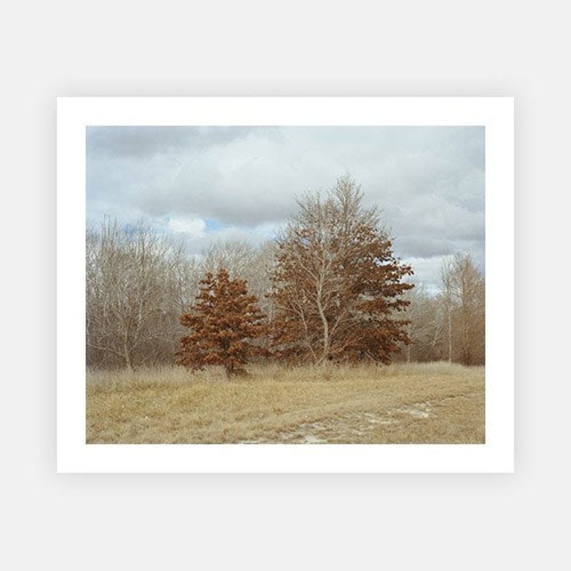Winter Trees|XS – 480 x 370|S – 600 x 470|M – 900 x 710|L – 1020 x 810|XL – 1200 x 950|Photographic Paper|Rag Paper|None|White|Black|Scandi