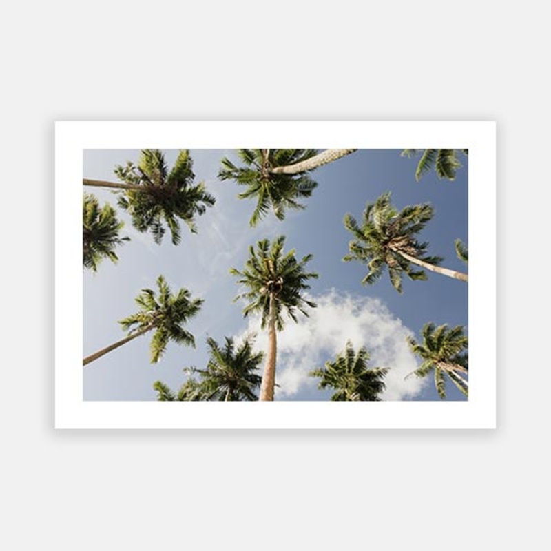 Coconut Sky 01|E – 500 x 760|F – 660 x 1000|G – 850 x 1300|Photographic Paper|Rag Paper|Canvas|None|White|Black|Scandi
