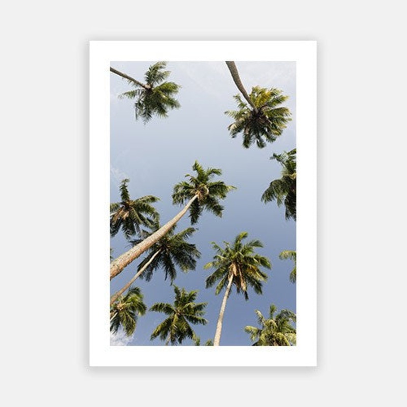 Coconut Sky 02|E – 500 x 760|F – 660 x 1000|G – 850 x 1300|Photographic Paper|Rag Paper|Canvas|None|White|Black|Scandi