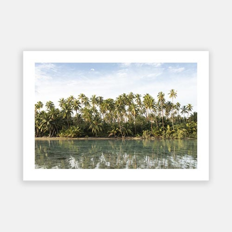 Polynesian Palms 01|E – 500 x 760|F – 660 x 1000|G – 850 x 1300|Photographic Paper|Rag Paper|Canvas|None|White|Black|Scandi