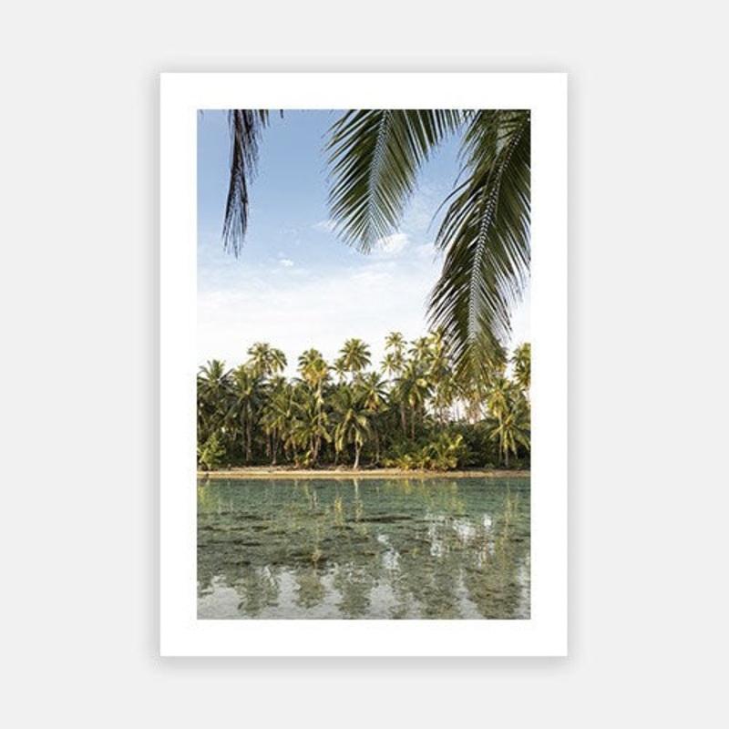Polynesian Palms 02|E – 500 x 760|F – 660 x 1000|G – 850 x 1300|Photographic Paper|Rag Paper|Canvas|None|White|Black|Scandi