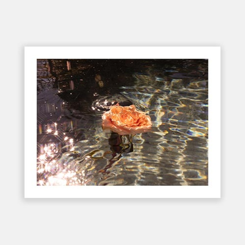 Signature Series – Underwater Florals 05