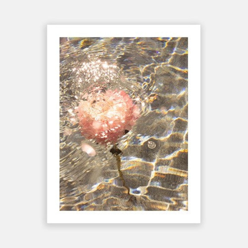 Signature Series – Underwater Florals 06