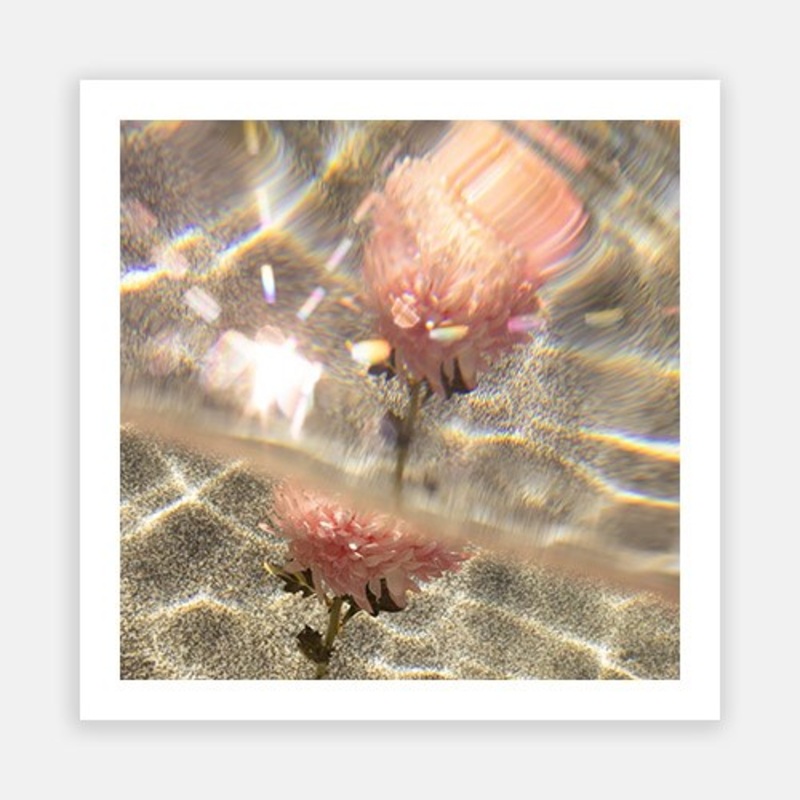 Signature Series – Underwater Florals 07