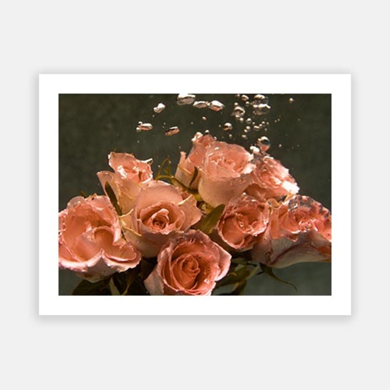 Signature Series – Underwater Florals 08