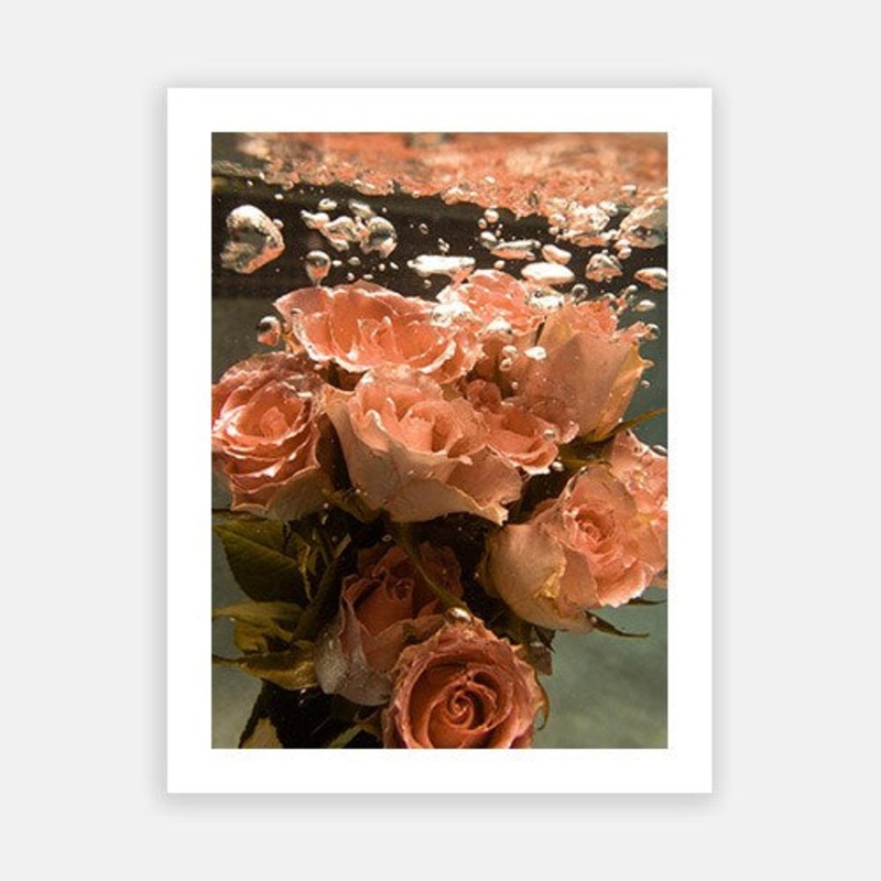 Signature Series – Underwater Florals 09