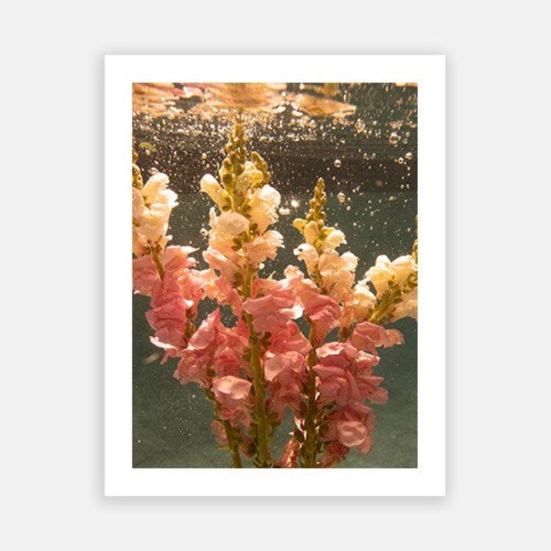 Signature Series – Underwater Florals 10