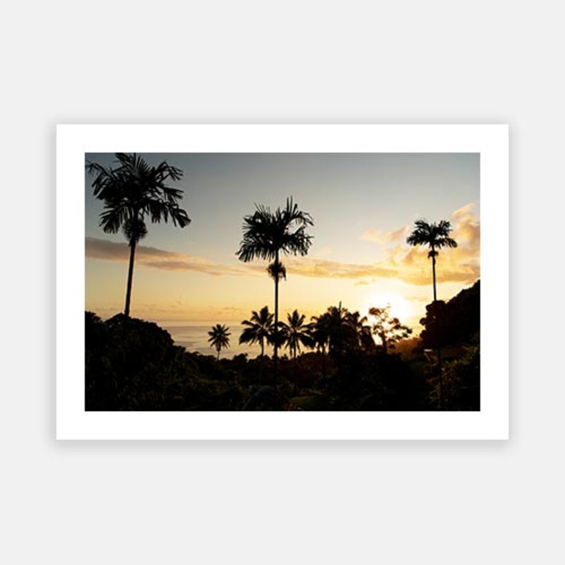 Tahiti Palm Sunset 01|E – 500 x 760|F – 660 x 1000|G – 850 x 1300|Photographic Paper|Rag Paper|Canvas|None|White|Black|Scandi