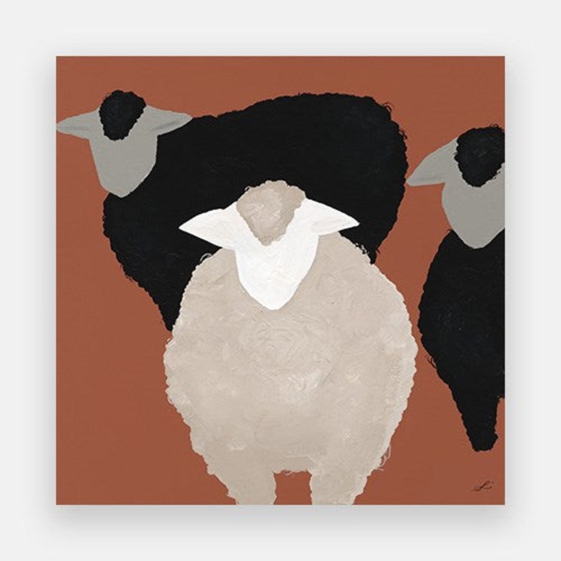 Woolly Sheep 2|1000 x 1000|Canvas|None