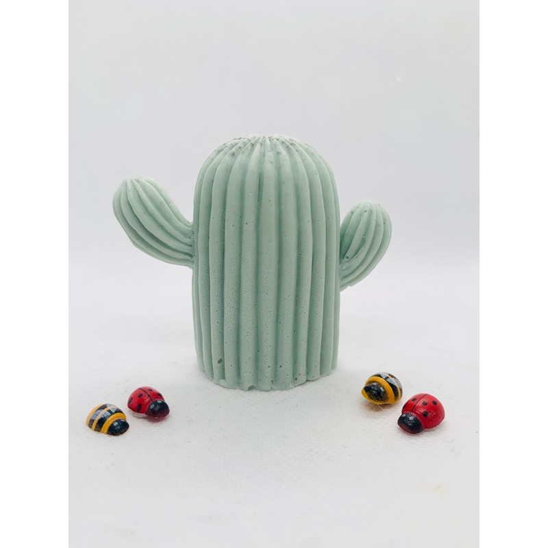 Cactus Vegan Soap | Cactus Gift Idea | Quirky Plant Lover Gift | Gardener Gift Idea